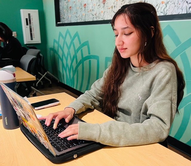young woman working on laptop