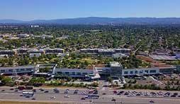 beautiful green landscape