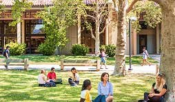 students study under shade trees