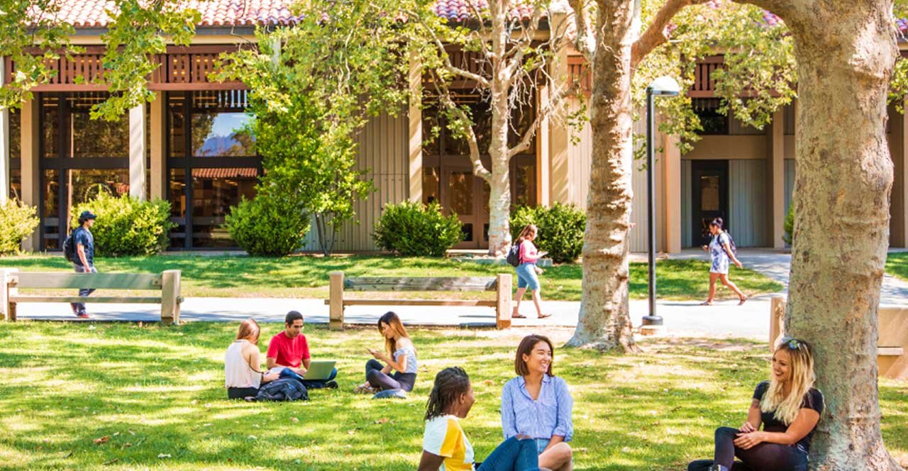 Students sit in shaded grassy area